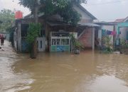 Warga Kampung Belokang Terendam Dua Hari,  Bantuan Tak Kunjung Datang